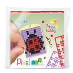 Pixelhobby medaillon lieveheersbeestje sleutelhanger 23105, Hobby en Vrije tijd, Knutselen, Materiaal, ., Nieuw, Ophalen of Verzenden