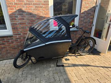 Urban Arrow Family Cargo Line 500Wh Full Option beschikbaar voor biedingen
