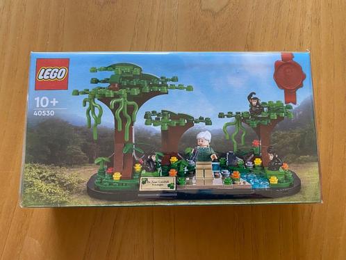 Lego 40530 GWP Eerbetoon aan Jane Goodall, Kinderen en Baby's, Speelgoed | Duplo en Lego, Nieuw, Lego, Complete set, Ophalen