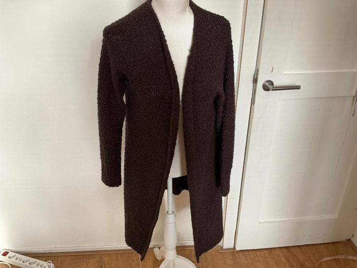 Excellent lang vest 44 bruin, Kleding | Dames, Truien en Vesten, Zo goed als nieuw, Maat 46/48 (XL) of groter, Bruin, Ophalen of Verzenden