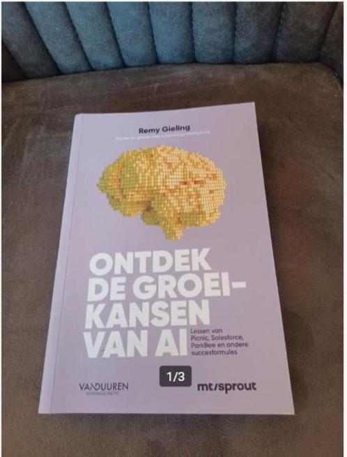 Ontdek de groeikansen van AI Remy Gieling, Boeken, Wetenschap, Zo goed als nieuw, Ophalen of Verzenden