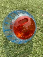 Hamster bal, Ophalen, Zo goed als nieuw