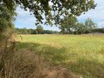 Weide, biologisch perceel / grasland, tuinderij, voedselbos, Dieren en Toebehoren