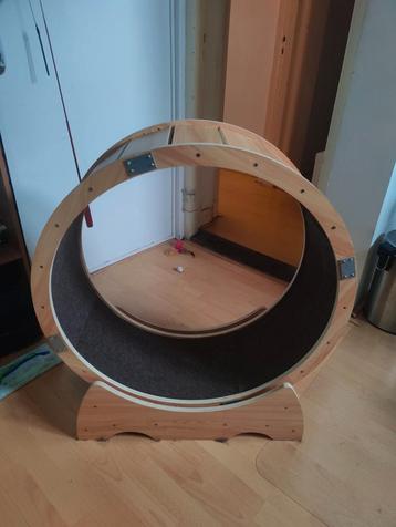 Katten loopwiel beschikbaar voor biedingen