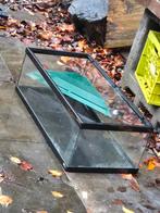 Terrarium en toebehoren, Dieren en Toebehoren, Reptielen en Amfibieën | Toebehoren, Ophalen