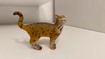 Schleich Bengaal Kat ~ 16654 (13), Ophalen of Verzenden, Hond of Kat, Beeldje of Figuurtje