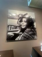 Sophia Loren Foto Dibond Epoxy - 120x120, Ophalen