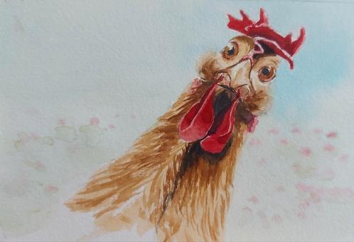 aquarel nieuwsgierige kip, Antiek en Kunst, Kunst | Schilderijen | Modern, Ophalen of Verzenden