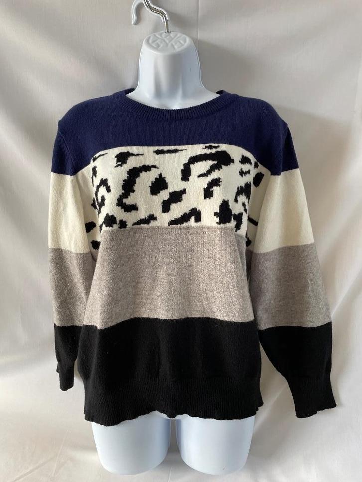 Trui met banen patroon, maat M, Kleding | Dames, Truien en Vesten, Gedragen, Maat 38/40 (M), Overige kleuren, Ophalen of Verzenden