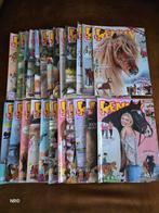 Penny Paarden Magazines 2017 - 24 stuks, Boeken, Tijdschriften en Kranten, Ophalen of Verzenden, Gelezen, Sport en Vrije tijd