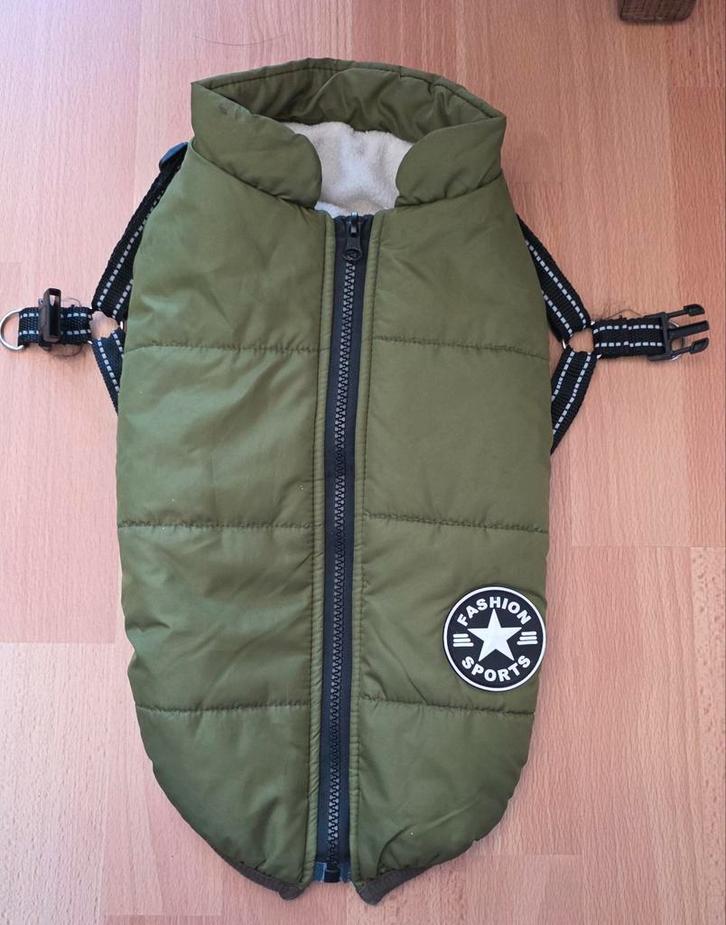 Stoere groene winterjas, Dieren en Toebehoren, Hondenkleding, Nieuw, Hondenjas, Ophalen of Verzenden