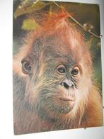 9468 aap, Verzenden, Beeldje of Figuurtje