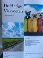 Dagopvang is huiselijke sfeer, Diensten en Vakmensen, Dieren | Honden | Verzorging, Oppas en Les, Pension of Dagopvang