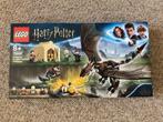 Lego Harry Potter - 75946 - Hongaarse hoornstaart (2019), Kinderen en Baby's, Speelgoed | Duplo en Lego, Lego, Lego.com/service
