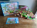 playmobil Fairies, magische feeën tuin / elfenbos 9132, Ophalen of Verzenden, Zo goed als nieuw, Complete set