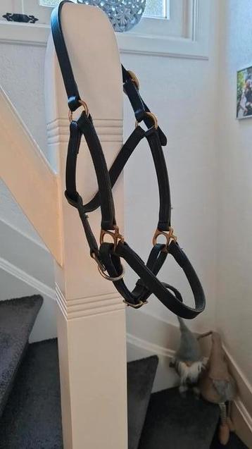 Leren halster  beschikbaar voor biedingen