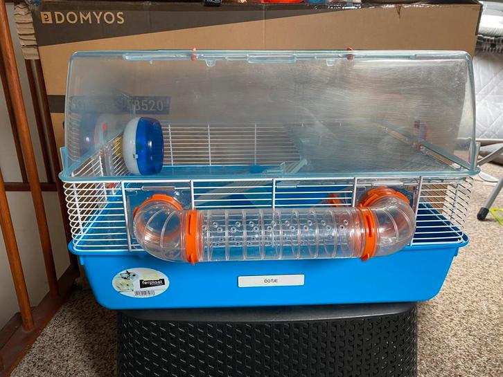 Compleet Hamsterhok, Dieren en Toebehoren, Knaagdieren en Konijnen | Hokken en Kooien, Gebruikt, Hok, Minder dan 60 cm, Minder dan 75 cm