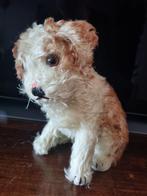 Oude Steiff Hond - Molly -, Kinderen en Baby's, Speelgoed | Knuffels en Pluche, Ophalen of Verzenden, Gebruikt, Hond