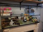 Hamsterhok 100x40x50, Dieren en Toebehoren, Gebruikt, 75 tot 110 cm, Ophalen, Minder dan 60 cm