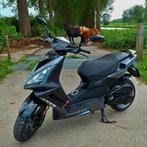 In onderdelen. Peugeot speedfight 3 2takt polini, Fietsen en Brommers, Scooters | Peugeot, Ophalen of Verzenden, Gebruikt, Tweetakt