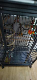 Orginal strong papegaai kooi, Dieren en Toebehoren, Vogels | Toebehoren, Ophalen, Zo goed als nieuw, Speelgoed