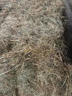 Weidehooi paardenhooi gras hooi onverpakt grote balen klein, Dieren en Toebehoren, Ophalen, Vee