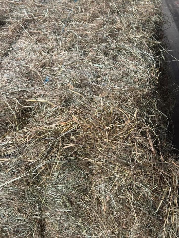 Weidehooi paardenhooi gras hooi onverpakt grote balen klein, Dieren en Toebehoren, Dierenvoeding, Vee, Ophalen