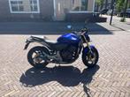 Honda CB600F Hornet 2008 | SC Project, Motoren, Motoren | Honda, 4 cilinders, Particulier, Meer dan 35 kW, 600 cc