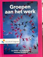 Jan Pieter van Oudenhoven - Groepen aan het werk, Sociale psychologie, Jan Pieter van Oudenhoven; Hanneke Grutterink, Ophalen of Verzenden