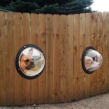 Perspex Halve Bol beschikbaar voor biedingen