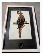 Korting Papegaai van echte vlindervleugels gemaakt in lijst, Antiek en Kunst, Kunst | Designobjecten, Ophalen of Verzenden