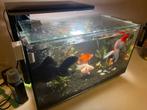 Aquarium superfish, Ophalen, Gebruikt, Leeg aquarium