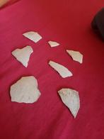 Olifantsvogel eierschalen - Aepyornis Maximus, Ophalen of Verzenden