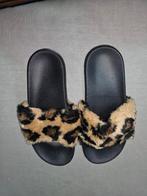 Panter slippers 37, Kleding | Dames, Schoenen, Zo goed als nieuw, Ophalen