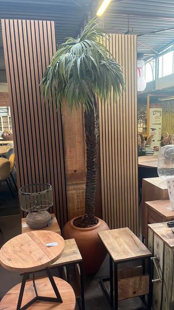 Kunst palmboom in pot beschikbaar voor biedingen