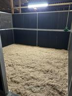 Pensionstalling, Dieren en Toebehoren, Weidegang