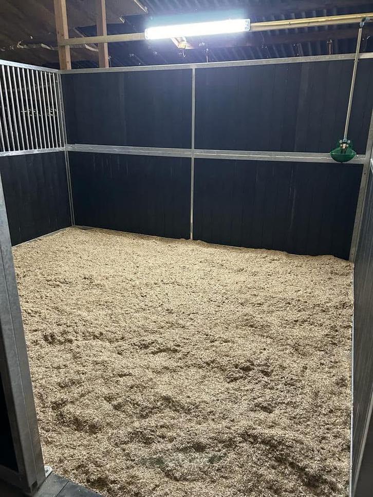 Pensionstalling, Dieren en Toebehoren, Stalling en Weidegang, Weidegang