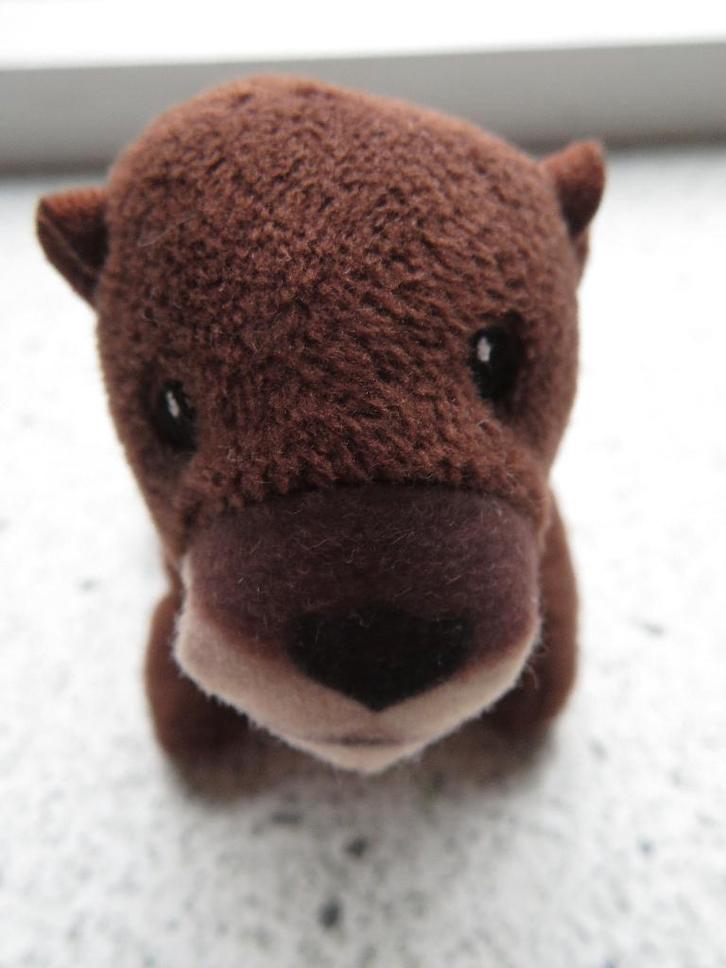 Otter ottertje van National Geographic Kids Mc Donalds, Verzamelen, Poppetjes en Figuurtjes, Zo goed als nieuw, Ophalen of Verzenden