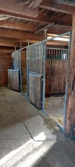 Paarden stalling met weidegang, Weidegang
