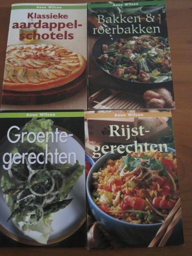 Anne Wilson - vier verschillende kookboekjes, Boeken, Kookboeken, Zo goed als nieuw, Hoofdgerechten, Overige typen, Europa, Gezond koken