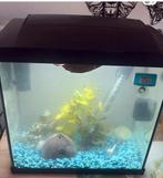 Leuk aquarium, Dieren en Toebehoren, Ophalen of Verzenden, Leeg aquarium