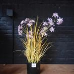 Kunstplant Allium Paars - 78cm - Wegens Emigratie, Tuin en Terras, Volle zon, Vaste plant, Bloeit niet, Ophalen
