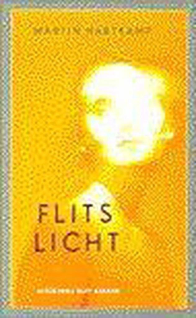 Flitslicht - Martin Hartkamp BOEK 9789035113077, Boeken, Romans, Gelezen, Ophalen of Verzenden