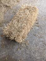 Stro balen, Dieren en Toebehoren, Ophalen, Vee