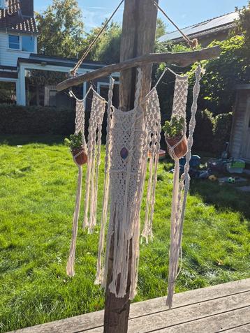 Macramé Plantenhanger Wanddecoratie beschikbaar voor biedingen