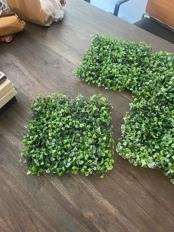 Kunsthaag Tegels 25x25 cm beschikbaar voor biedingen