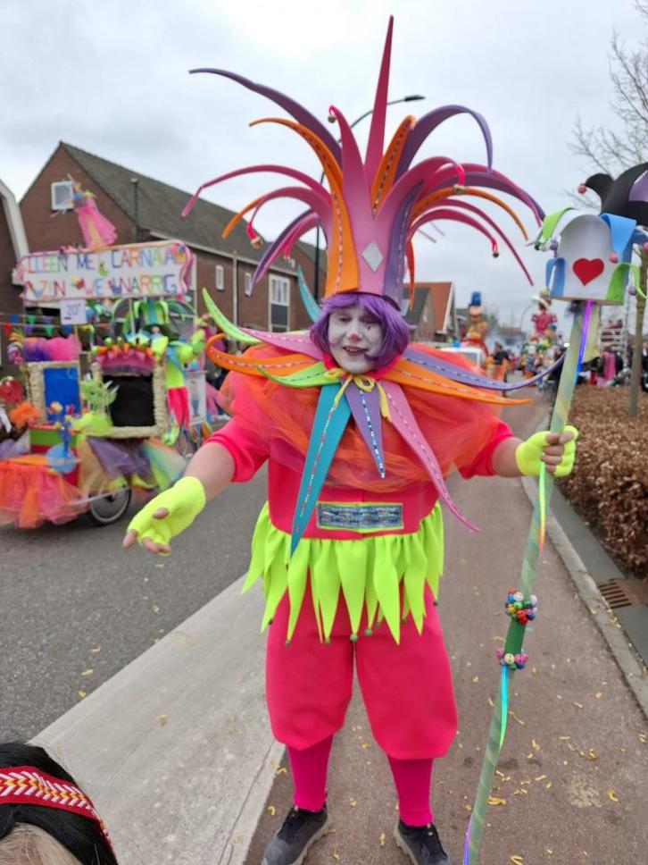 Kleurrijke Loopgroep - Carnaval!, Kleding | Dames, Carnavalskleding en Feestkleding, Gedragen, Kleding, Carnaval, Maat 42/44 (L)