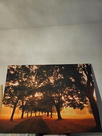 Schitterend Canvas Schilderij - Bomenlaan!  beschikbaar voor biedingen
