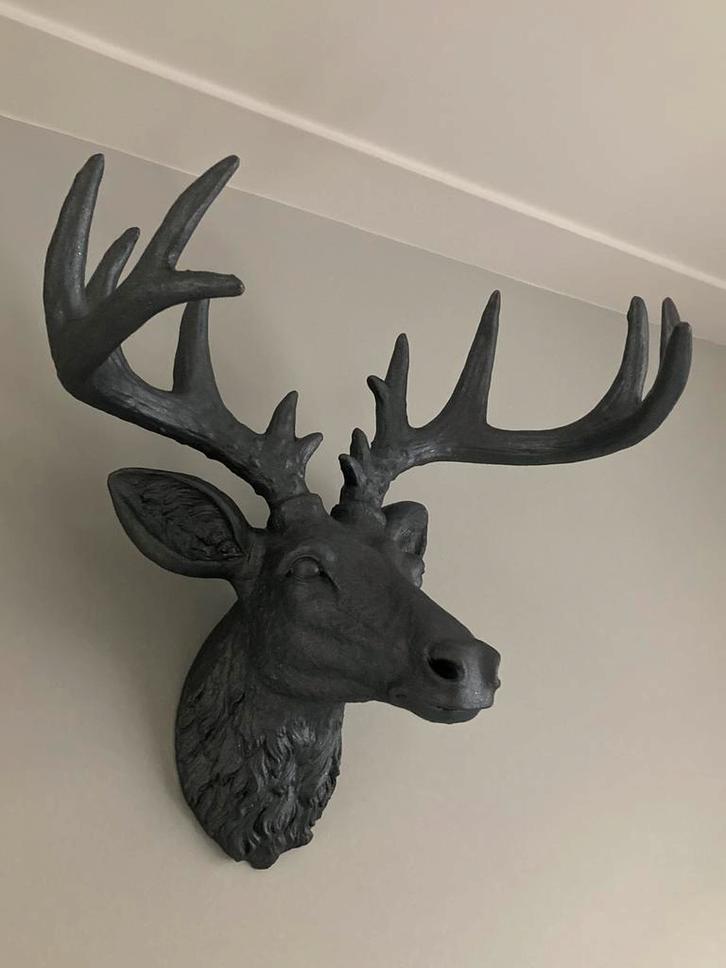 Hertenkop, in zeer nette staat, Huis en Inrichting, Woonaccessoires | Wanddecoraties, Zo goed als nieuw, Ophalen