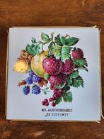 Siertegeltje De Toekomst Oosterhout in houder, Ophalen of Verzenden